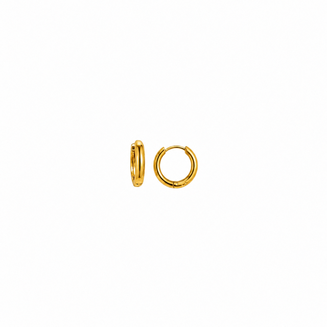 Oorringen rond (afwijkend model/kleur) goud